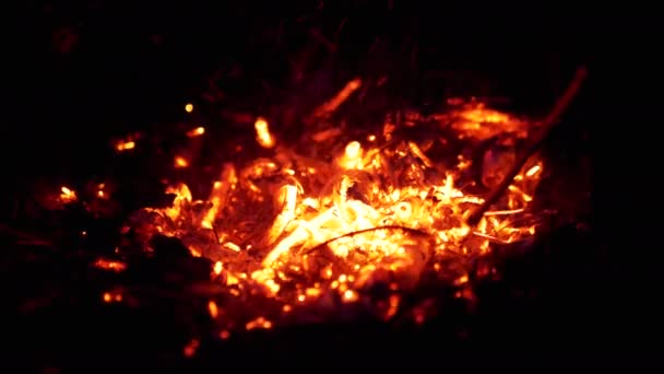 Gloeiende stervende rode kolen in een sprankelend open vuur. Sluit maar af. Langzame beweging — Stockvideo