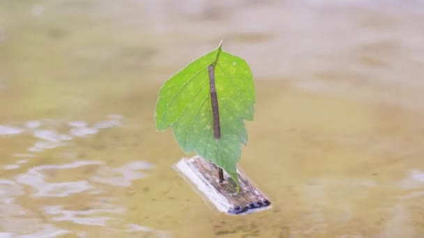 Egy kis házi készítésű fahajó úszik a folyóval. 4K. Közelről. — Stock videók