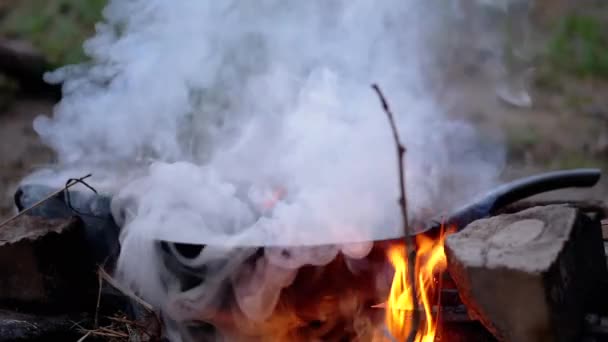 Dampfende Pfanne am lodernden Lagerfeuer im Wald. Nahaufnahme — Stockvideo