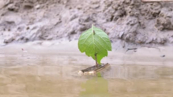 Un petit bateau en bois pour enfants fait maison flotte avec la rivière. 4K. Gros plan — Video