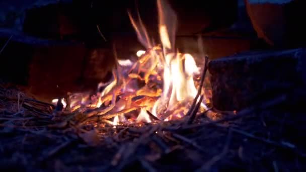 Una fiamma luminosa di un falò morente in un bosco notturno all'aperto. Da vicino. — Video Stock