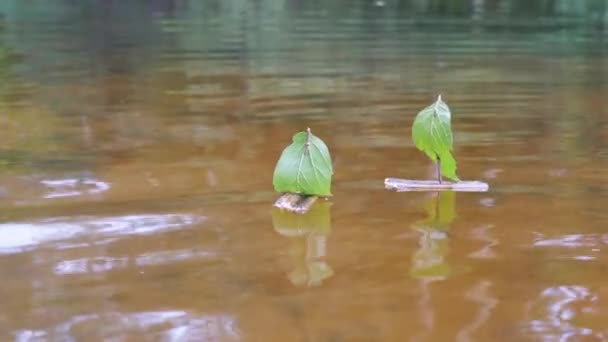 A Two Small Homemade Children Wooden Ships Floating with the River (dalam bahasa Inggris). Perbesar — Stok Video