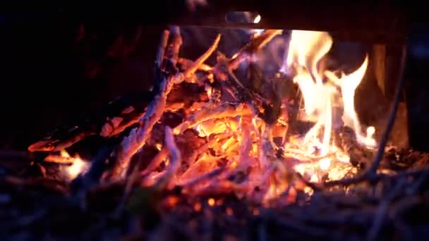 Die helle Flamme eines sterbenden Lagerfeuers im Freien im nächtlichen Wald. Nahaufnahme — Stockvideo