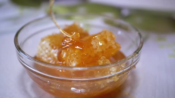 Fluxos densos de mel natural em um córrego grosso em uma tigela de vidro em um favo de mel — Vídeo de Stock