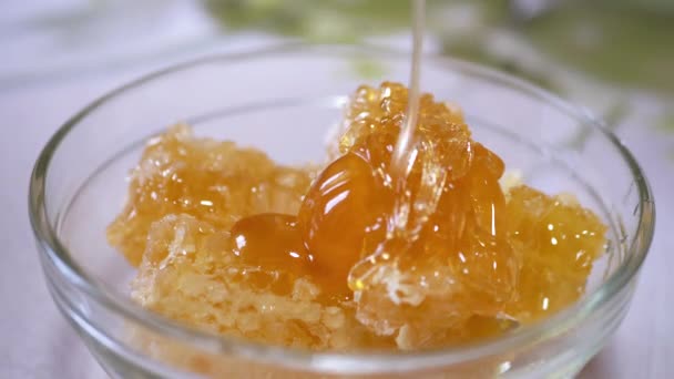 Tjock naturlig honung häller i en tunn ström i en glasskål på en bikaka — Stockvideo