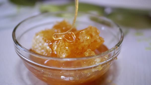 Dense Natural Honey Flows in a Thick Stream in a Glass Bowl on a Honeycomb — Stockvideo