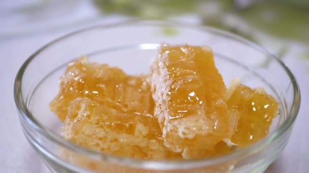 Dichte natuurlijke honingstromen in een dikke laag in een glazen schaal op een honingraat. 4K — Stockvideo