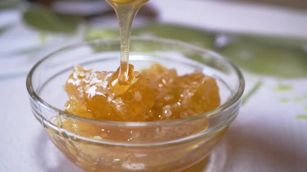 Miel gruesa vertiendo un chorro grueso de una cuchara en un cuenco de vidrio en un panal. 4K — Vídeo de stock