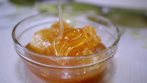 Miel natural gruesa fluye en una corriente delgada hacia un cuenco de vidrio en un panal de abejas — Vídeos de Stock