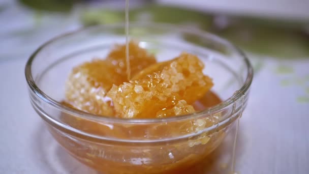Dicker natürlicher Honig ergießt sich in einem dünnen Strom in einer Glasschale auf einer Wabe — Stockvideo