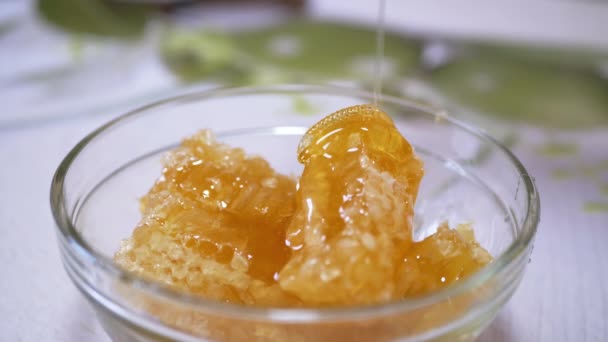 Miel naturel épais verse dans un ruisseau mince dans un bol en verre sur un nid d'abeille — Video