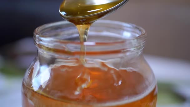 Thick Bee Honey Flows from a Spoon in a Thin Stream in a Glass Jar. Slow motion — Video Stock