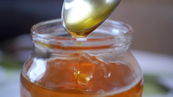 Thick Bee Honey Flows from a Spoon in a Thin Stream in a Glass Jar. Movimento lento — Vídeo de Stock