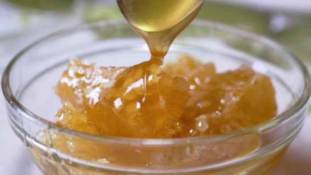 Dicker Honig, der einen dicken Strahl aus einem Löffel in eine Glasschale auf eine Wabe gießt — Stockvideo