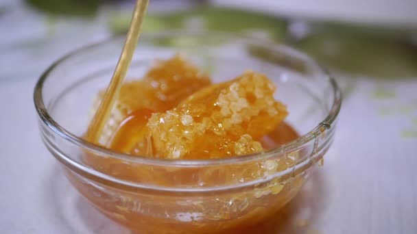 Dense Natural Honey Flows in a Thick Stream in a Glass Bowl on a Honeycomb — Stockvideo