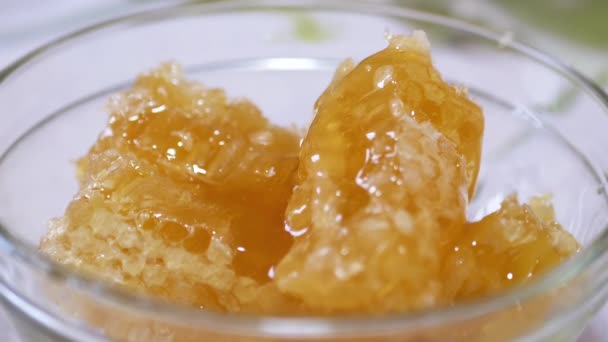 Dense Natural Honey Flows in a Thick Layer in a Glass Bowl on a Honeycomb. Zoom — Stockvideo