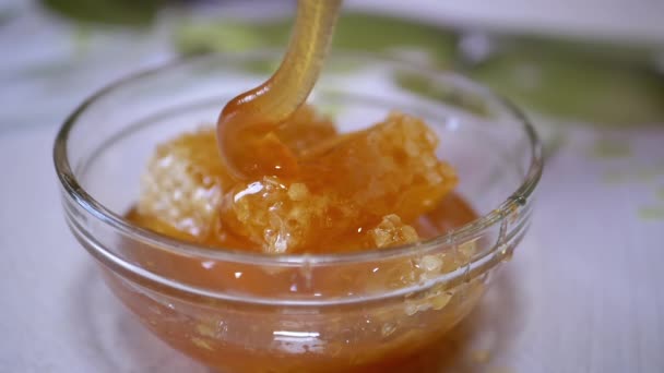 Thick Honey Flows from a Spoon in a Thin Stream in a Glass Bowl on a Honeycomb. — Stockvideo