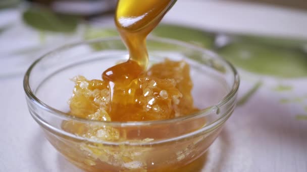 Miel épais Verser un jet épais d'une cuillère dans un bol en verre sur un nid d'abeille. 4K — Video