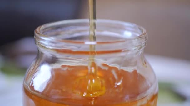 Une main féminine ramasse avec une cuillère du miel liquide transparent dans un bocal en verre — Video