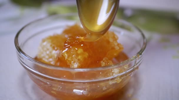 Miel natural gruesa fluye de una cuchara en una espiral en un cuenco de vidrio en un panal — Vídeos de Stock