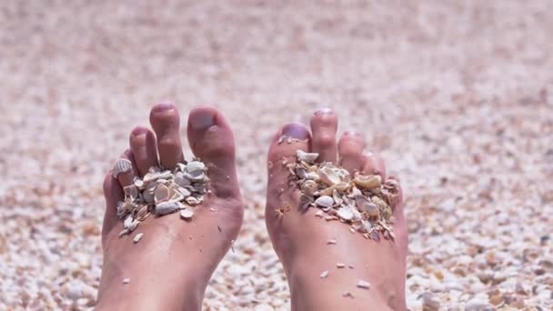 Female Legs are Sunbathing on Sandy Sea Beach among Seashells. 4K. Close up — Vídeo de Stock