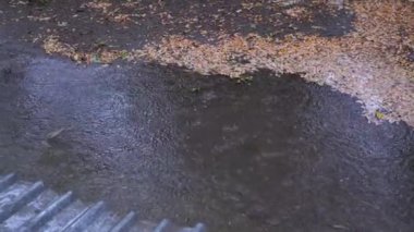 Bardaktan boşanırcasına yağmur damlaları düşüyor, bardaktan boşanırcasına yağmur yağıyor. Büyüt