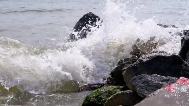 Sea Waves with Foam Bump into Against Rocky Shore of Seashells. Slow motion — Vídeo de stock