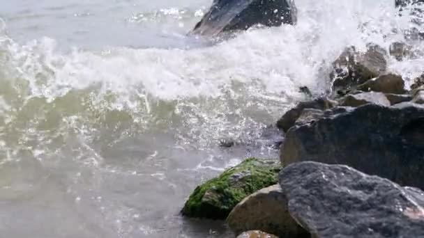 Olas marinas con espuma chocan contra la costa rocosa de las conchas marinas. Movimiento lento — Vídeos de Stock