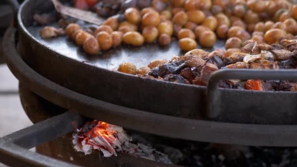Grill Vegetables, Young Potatoes in a Large Skillet over Burning Coals — 图库视频影像