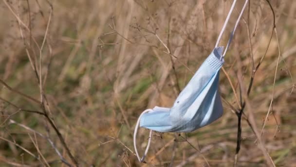 Çöpe atılmış, kullanılmış bir tıbbi maske Ormandaki Kuru Ağaç dalında sallanıyor — Stok video