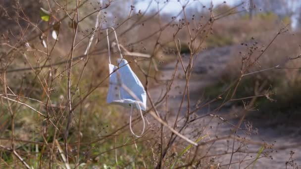 Μια χρησιμοποιημένη μάσκα προσώπου που πετάχτηκε σε ένα κλαδί ξερού δέντρου στο δάσος. 4K — Αρχείο Βίντεο
