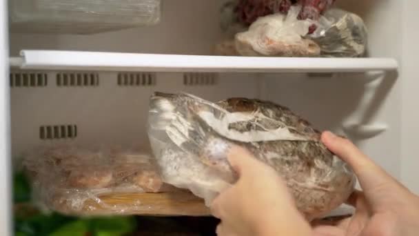 Female Hands Puts Frozen Fish in the Freezer. 4K. Close up. Slow motion — ストック動画