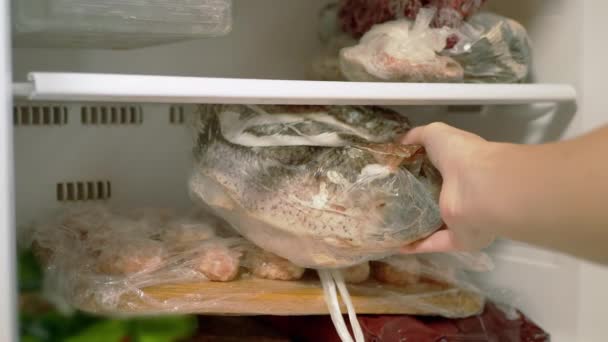 As mãos femininas tiram peixes congelados do congelador. 4K. Fecha. Movimento lento — Vídeo de Stock