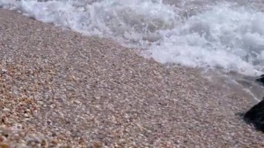 Köpüklü Deniz Dalgası, deniz kabuklarından Sandy Shore 'a yuvarlanıyor. Kapat.