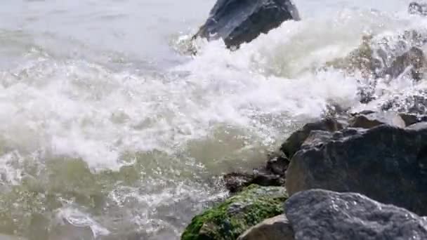 Sea Waves with Foam Bump into Against Rocky Shore of Seashells. Slow motion — Vídeo de stock