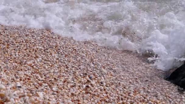 Sea Wave with Foams Rolls onto the Sandy Shore from Shells (en inglés). De cerca. — Vídeos de Stock