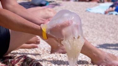 Male Hands are Holding a Huge Sea Jellyfish. Close up. 4K. Slow Motion