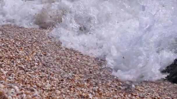 Sea Wave with Foams Rolls onto the Sandy Shore from Shells (en inglés). De cerca. — Vídeos de Stock