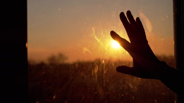 女性の手は窓から太陽のために伸びます,部屋の汚いガラスに触れます — ストック動画