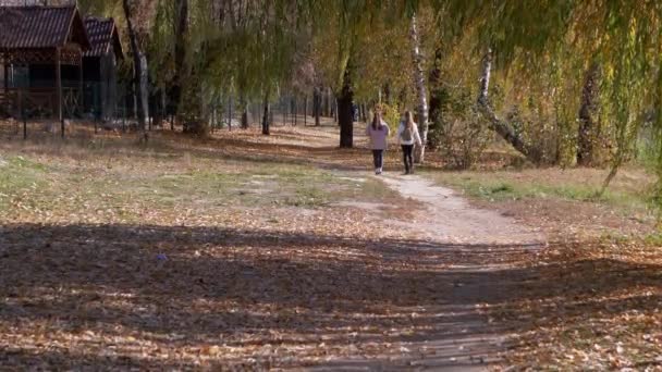 Две подруги-подростка гуляют в парке в Отумн-Вудсе. 4К. Медленное движение — стоковое видео