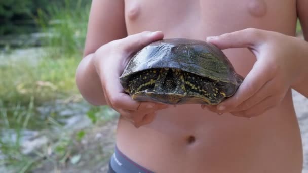 Niño sostiene en brazos a una tortuga atrapada en el río. 4K. De cerca. — Vídeos de Stock