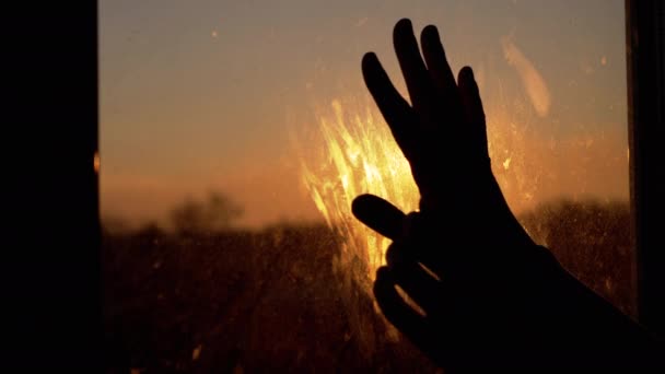Weibliche Hände strecken sich vor dem Fenster nach der Sonne und berühren zu Hause schmutziges Glas — Stockvideo