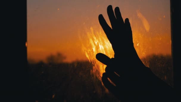 女性的手在窗边伸向太阳，在家中触摸肮脏的玻璃 — 图库视频影像