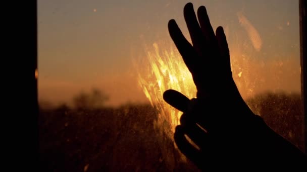 Dişi Eller Pencere kenarında Güneş İçin Esniyor, Evdeki Kirli Camlara Dokunuyor — Stok video