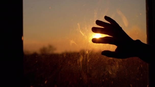 Weibliche Hände strecken sich vor dem Fenster nach der Sonne und berühren schmutziges Glas im Zimmer — Stockvideo