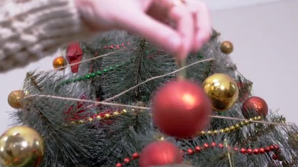 Weibliche Hände schmücken den Weihnachtsbaum mit Neujahrsschmuck. Zoom — Stockvideo