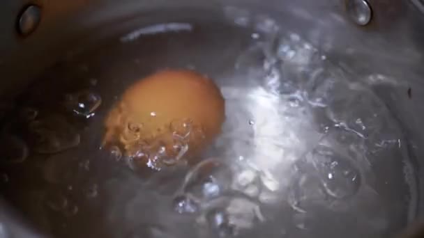 Eieren worden gekookt in een pot kokend water. Slow-motion. Close-up — Stockvideo