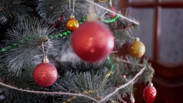 Weibliche Hände schmücken den Weihnachtsbaum mit Neujahrsschmuck. 4K — Stockvideo