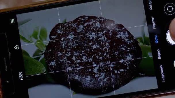 Manos femeninas tomando una foto de un pastel de chocolate en la cocina en un teléfono inteligente. Zoom: — Vídeos de Stock