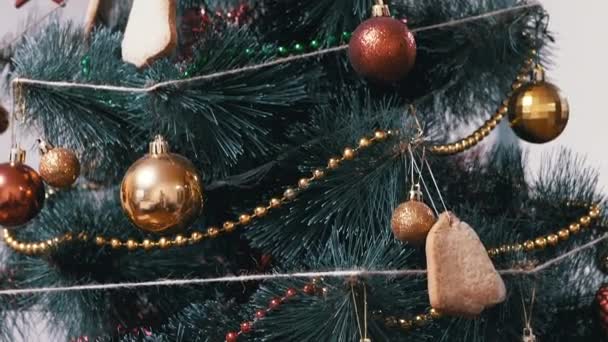 Árbol de Navidad decorado con bolas de vidrio amarillo, rojo, pan de jengibre en las ramas. — Vídeos de Stock